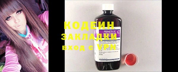 прущие грибы Абинск