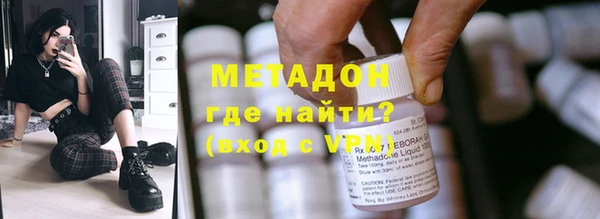 прущие грибы Абинск
