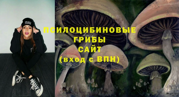 дмт Алзамай
