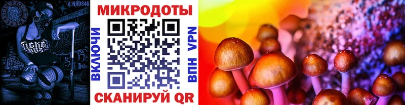 Псилоцибиновые грибы ЛСД  Слюдянка 