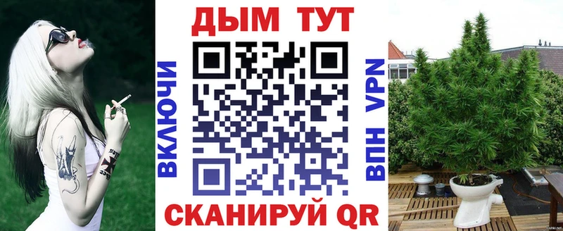 Шишки марихуана план  наркошоп  Слюдянка 